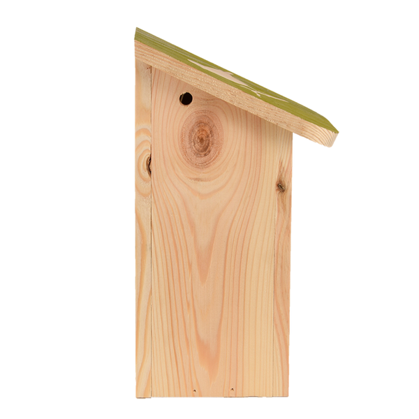 Positiver Blaumeisennistkasten