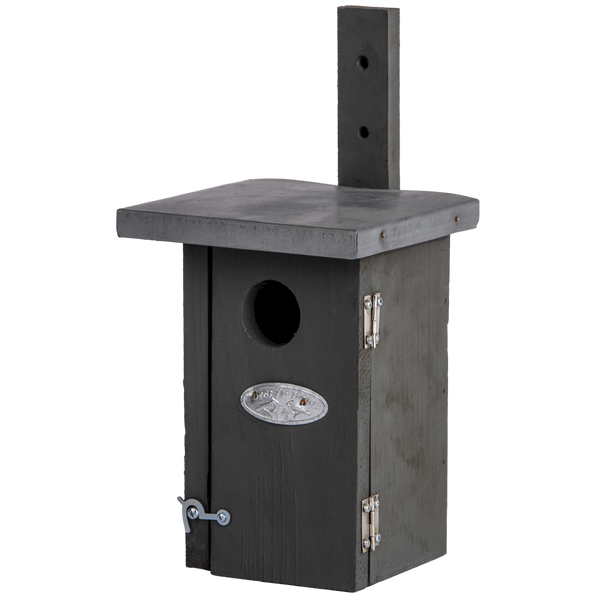 Nistkasten Zaunkönig grau