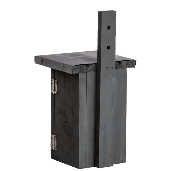 Nistkasten Zaunkönig grau