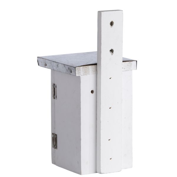 Nistkasten Zaunkönig Weiß