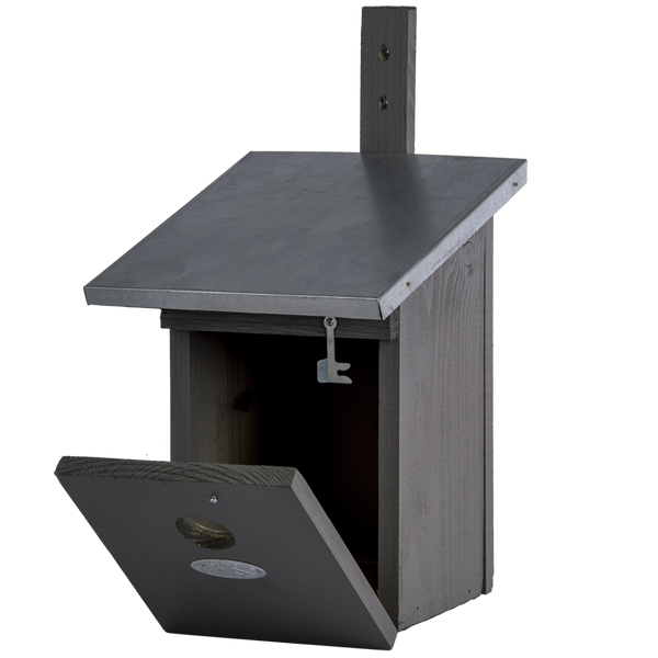 Nistkasten Kohlmeise Grau