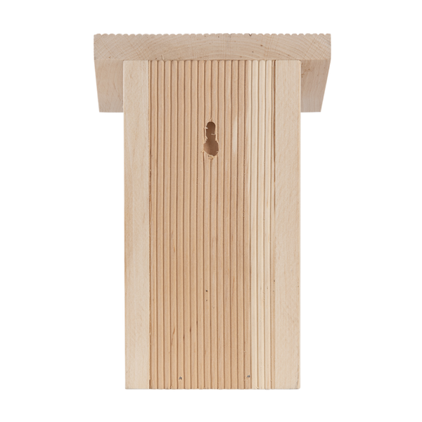 Zaunkönig Nistkasten