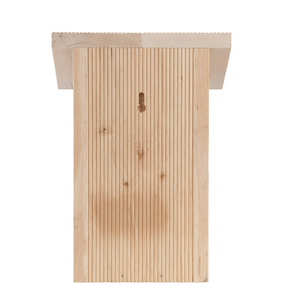 Nistkasten für Blaumeisen