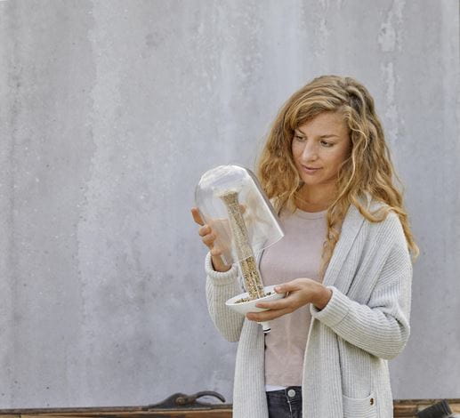 Klicken Sie auf! Vogelhäuschen