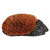 Fußkehrer Igel S