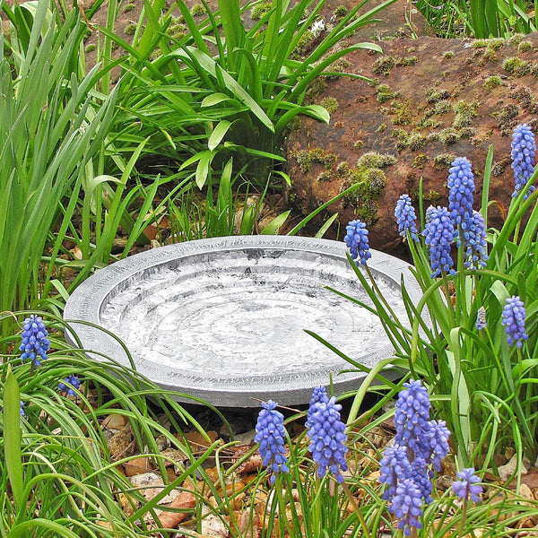 Vogelbad Aristoteles Oase