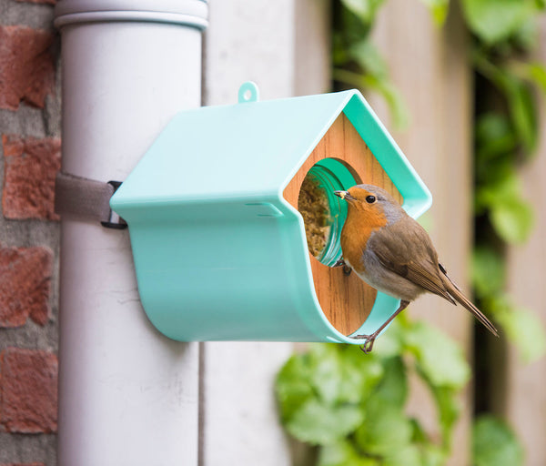 SingingFriend - Erdnussbutterdosenhalter Evie - mint