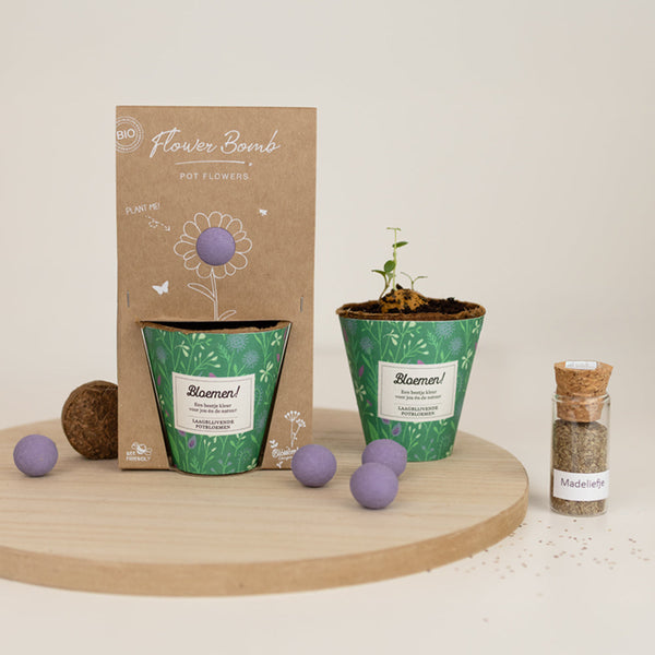 Grow-Kit „Blumen!“ mit niedrigwachsendem Samenbomben-Mix