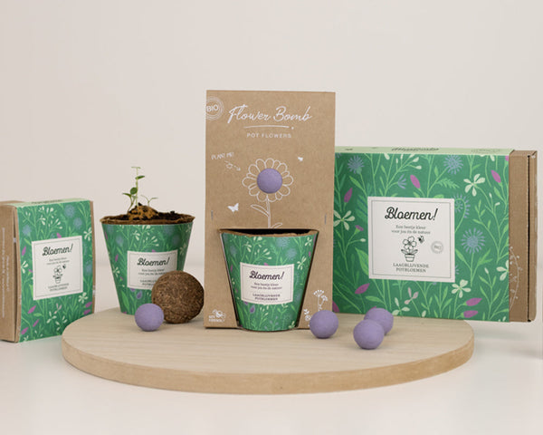 Geschenkbox klein "Bloemen!" met 7 laagblijvende zaadbommen-mix
