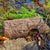 Frog Log schuilplaats voor kikkers – boomstamlook | Wildlife World