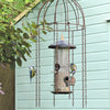 Feeder Defender – Ein Vogelfutterhaus-Schutz