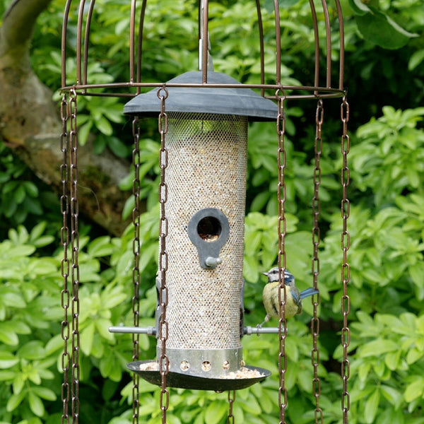Feeder Defender – Ein Vogelfutterhaus-Schutz