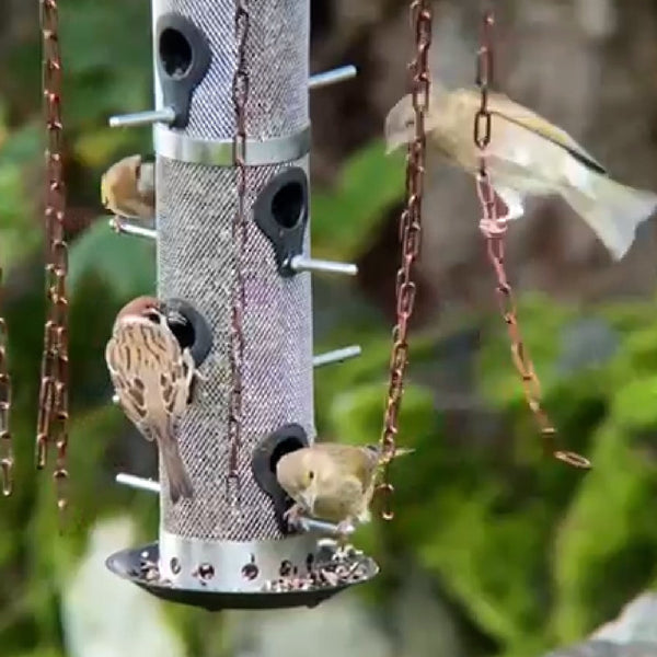 Feeder Defender – Ein Vogelfutterhaus-Schutz