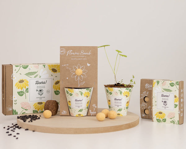 Grow Kit "Hura!" mit Sonnenblumen-Mix-Samenbombe