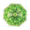 Regenschirm Baumkrone