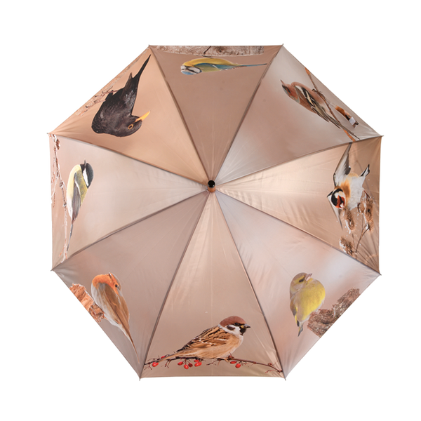 Regenschirm für Wintervögel
