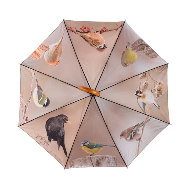 Regenschirm für Wintervögel