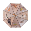 Regenschirm für Wintervögel