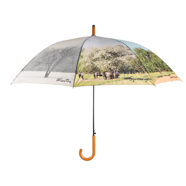 Regenschirm für 4 Jahreszeiten