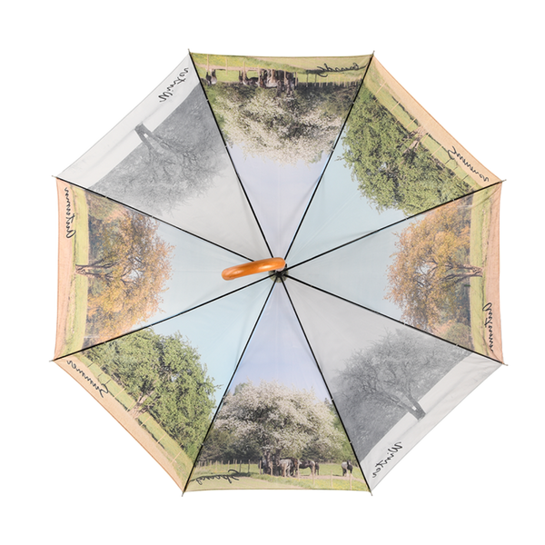 Regenschirm für 4 Jahreszeiten