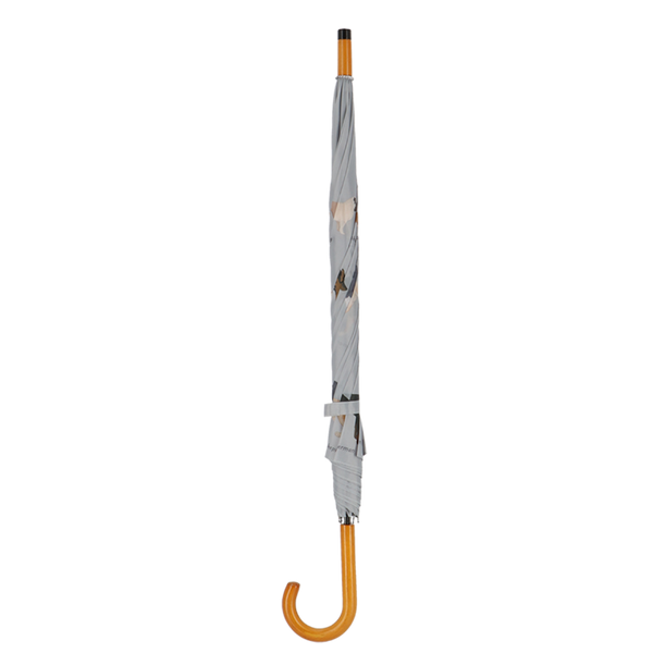 Dachhunderassen