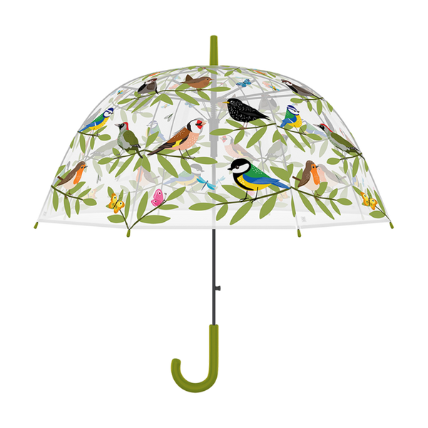 Regenschirm Vogelkeule transparent