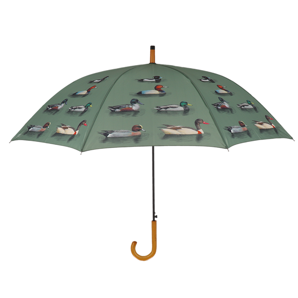 Regenschirmentenrassen