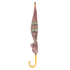 Schirmfroscharten