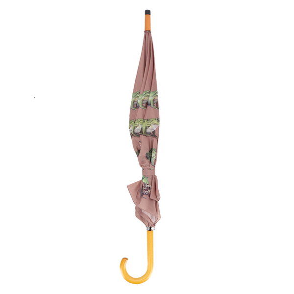 Schirmfroscharten