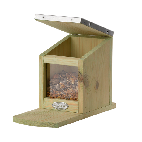 Futterstelle für Eichhörnchen