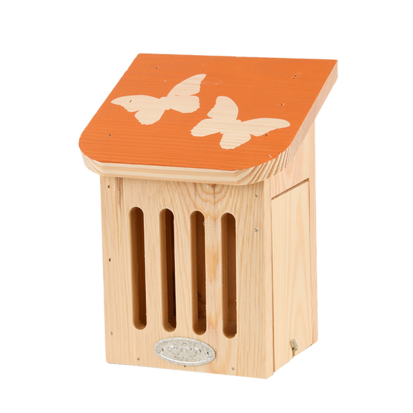 Diapositive Schmetterlingsbox