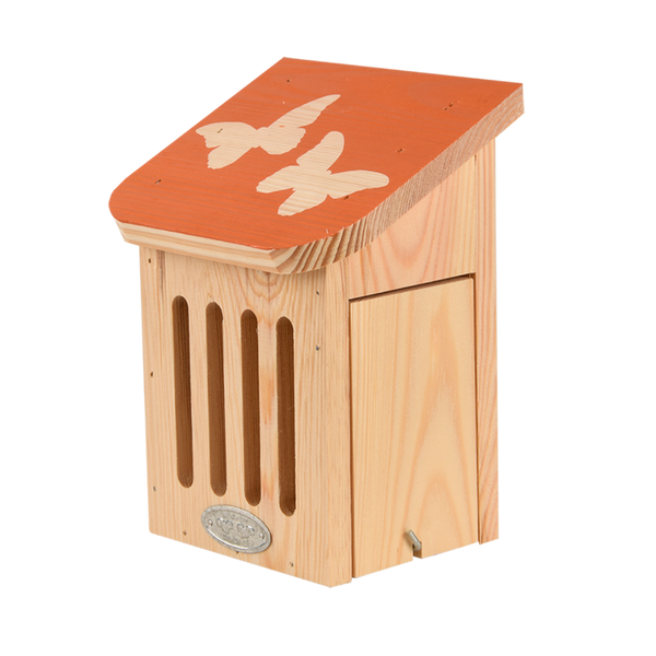 Diapositive Schmetterlingsbox
