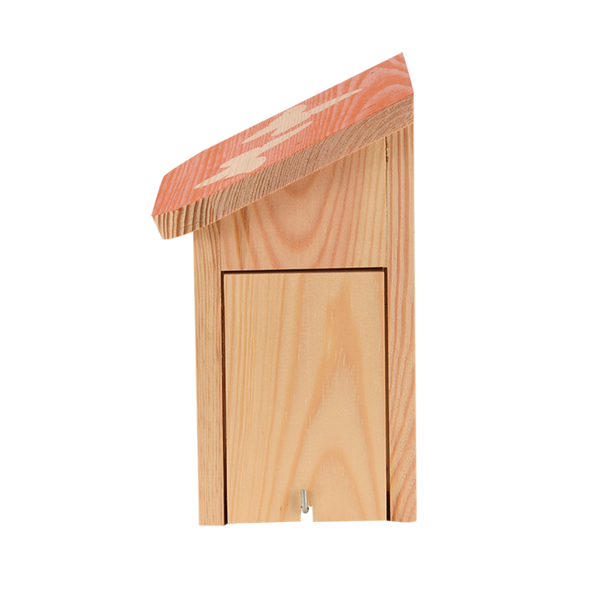 Diapositive Schmetterlingsbox