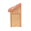 Diapositive Schmetterlingsbox