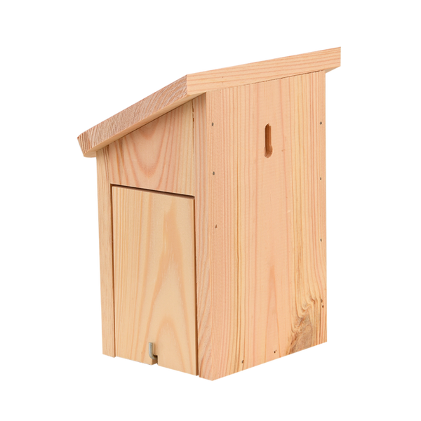 Diapositive Schmetterlingsbox