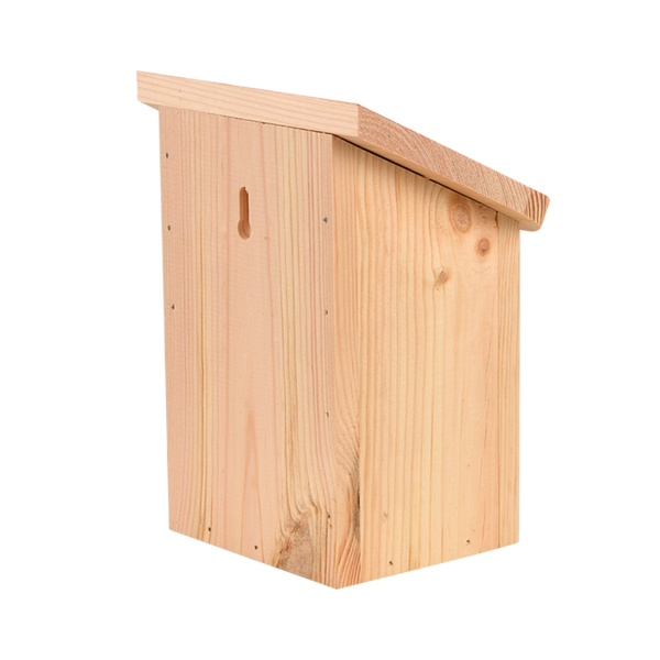 Diapositive Schmetterlingsbox