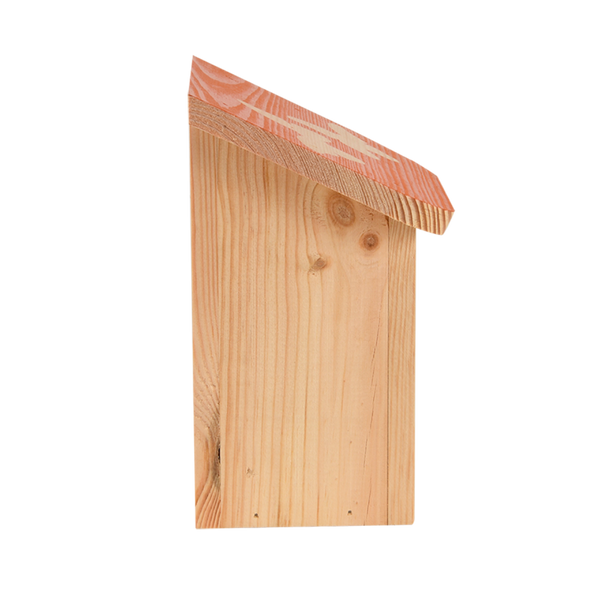 Diapositive Schmetterlingsbox