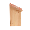 Diapositive Schmetterlingsbox