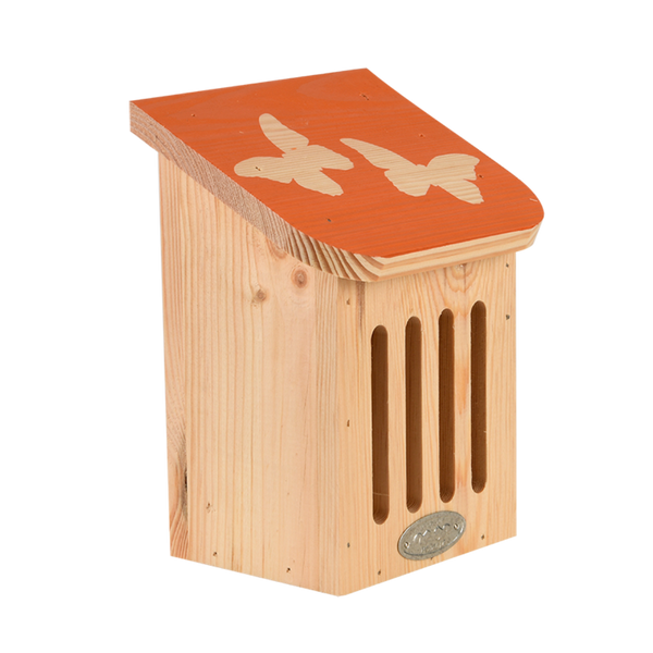 Diapositive Schmetterlingsbox