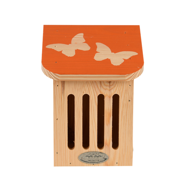 Diapositive Schmetterlingsbox