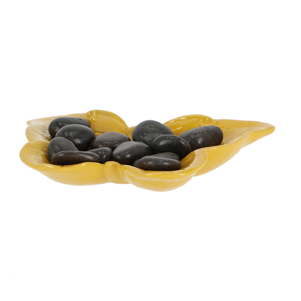 Biene und Schmetterling Trinkschale Schmetterling