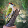 DecoBird - Grünspecht