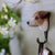 Wildlife Garden - Jack Russell Terrier Kleiderhaken