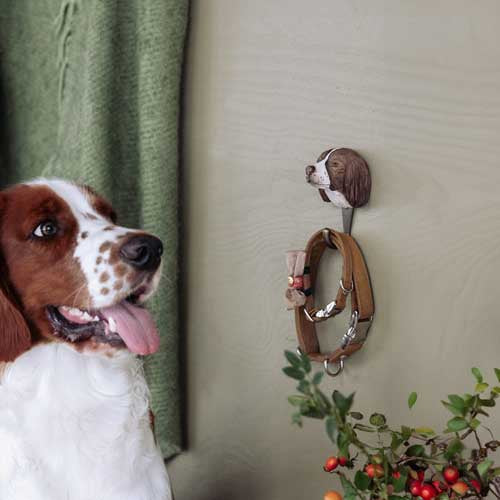 Wildlife Garden – Kleiderhaken mit Springer-Spaniel