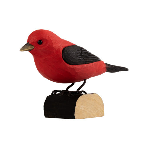 DecoBird - Schwarzflügeltangare