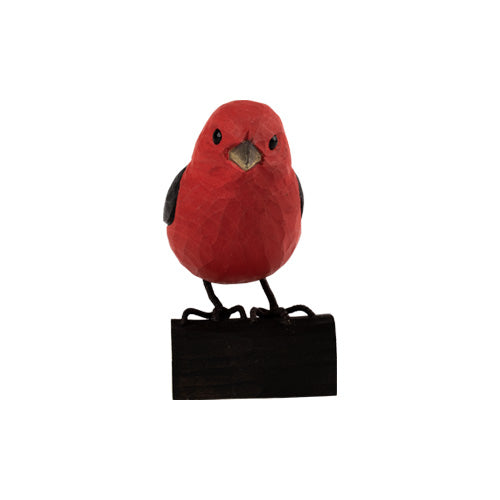 DecoBird - Schwarzflügeltangare