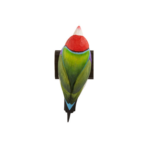 DecoBird - Goulds Fink