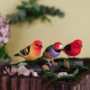 DecoBird - Louisiana-Tangare