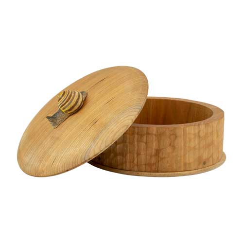 Holzkistenschnecke