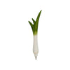 Pen Leek